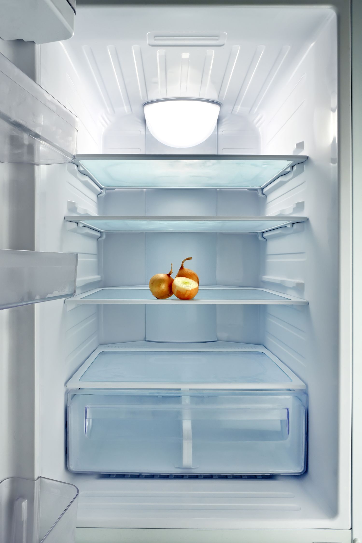 frigo vide